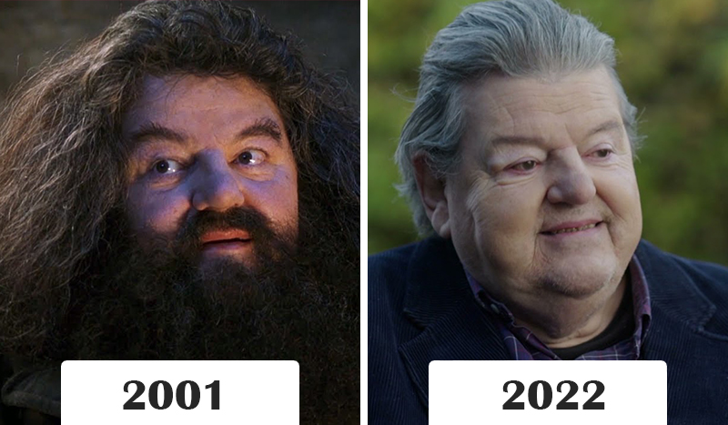 С момента выхода первого фильма о Гарри Поттере прошло более 20 лет, вот как изменились актеры за это время - фото 5