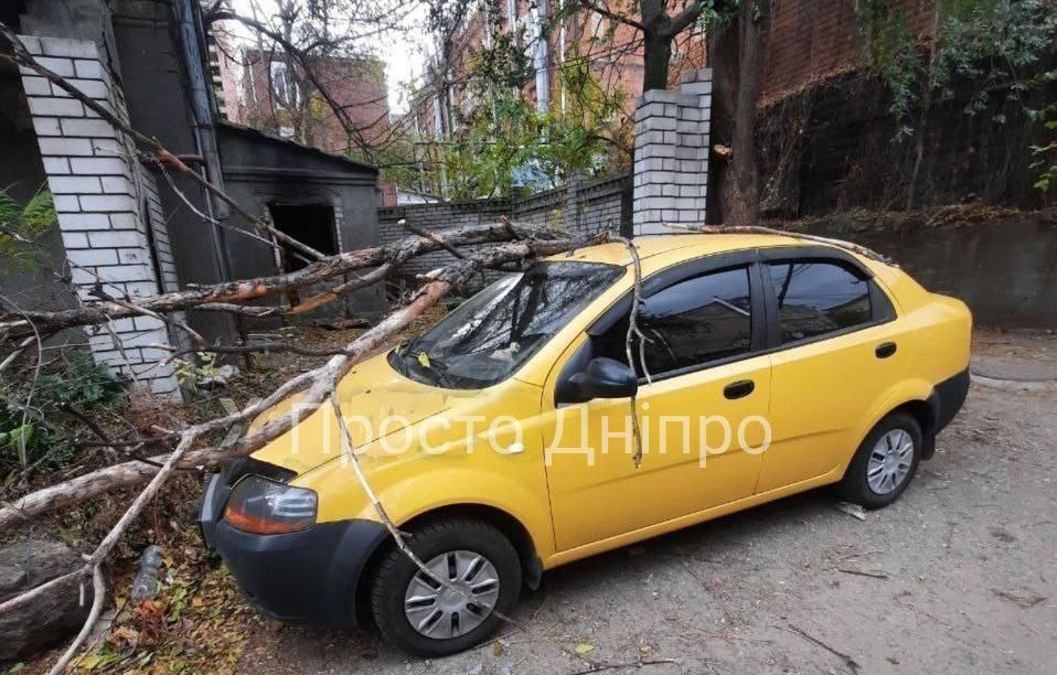 У Києві та Дніпрі негода валить дерева, рекламні щити та зупинки (ФОТО, ВІДЕО) - фото 7