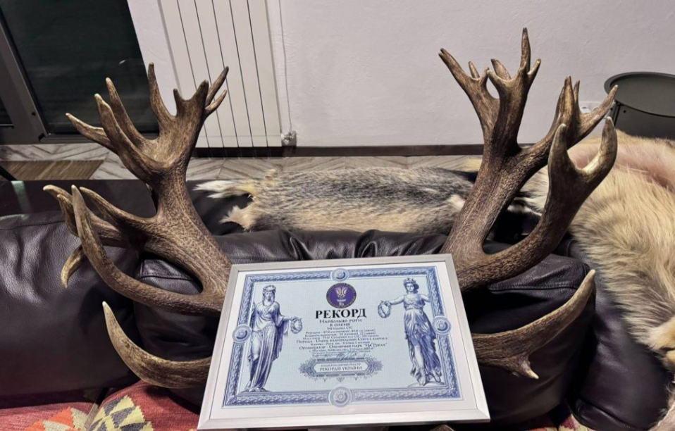 В Україні браконьєр вбив оленя-рекордсмена Руні з величезними рогами (ФОТО) - фото 2