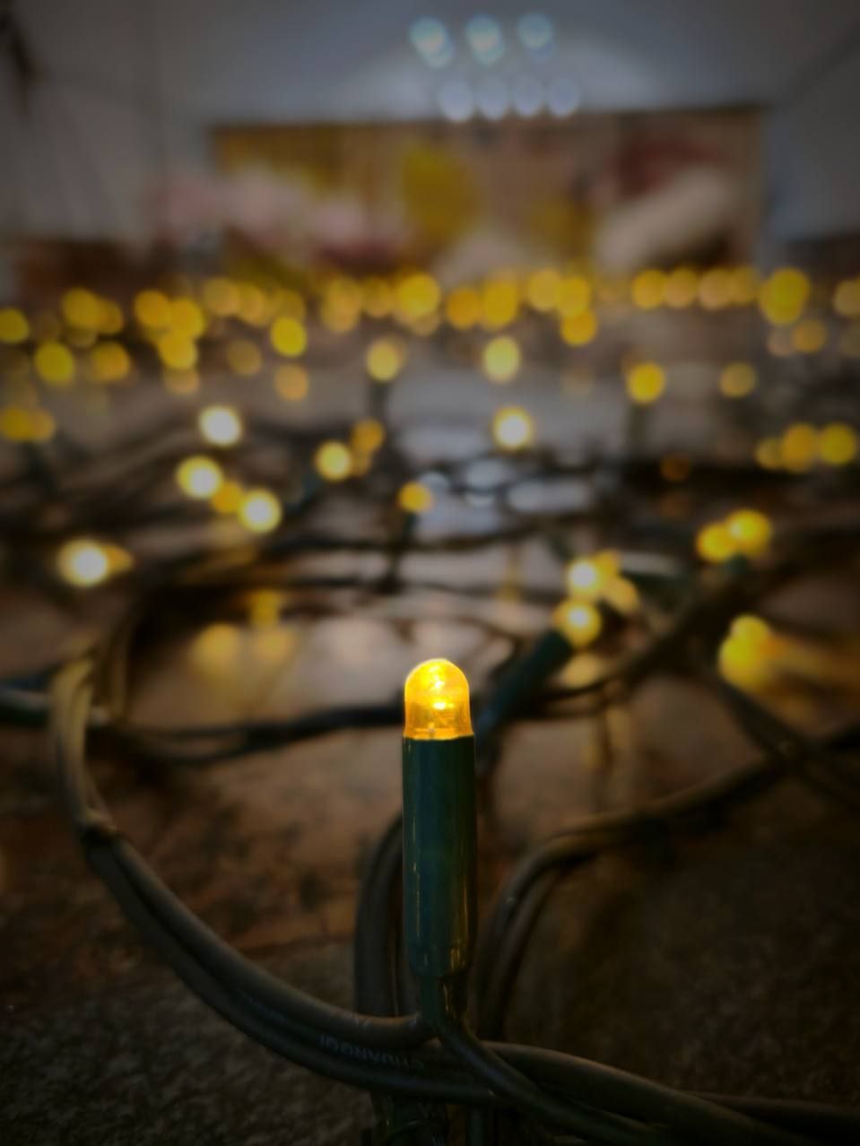 Харків почали прикрашати до зимових свят (ФОТО) - фото 2