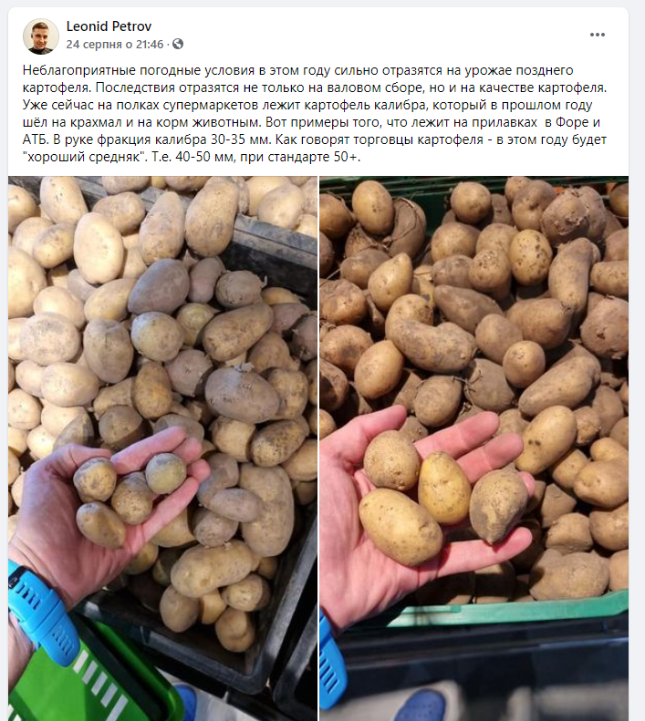 Чому українцям може взимку не вистачити картоплі: прогнози експерта - фото 2