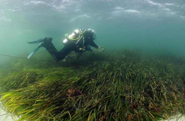 ”Чарівні кола” знову виявили у Шотландії через століття після їх зникнення (ФОТО) - фото 2