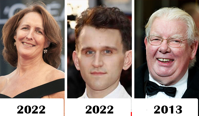 С момента выхода первого фильма о Гарри Поттере прошло более 20 лет, вот как изменились актеры за это время - фото 10