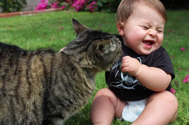 Двадцать фотографий, доказывающие, что ребёнку нужен кот - их очарование и теплота зашкаливает - фото 14