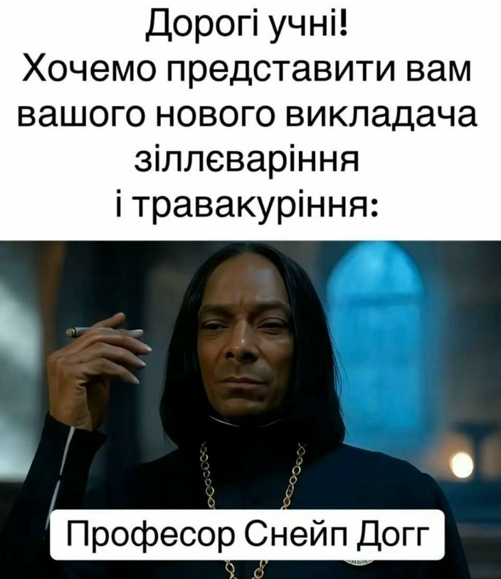 Новий трейлер до серіалу ”Гаррі Поттер” породив хвилю мемів (ФОТО) - фото 2