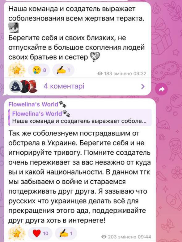 Скандал вокруг будущей офицерки Украины: донаты в рублях и призыв к дружбе народов  - фото 2