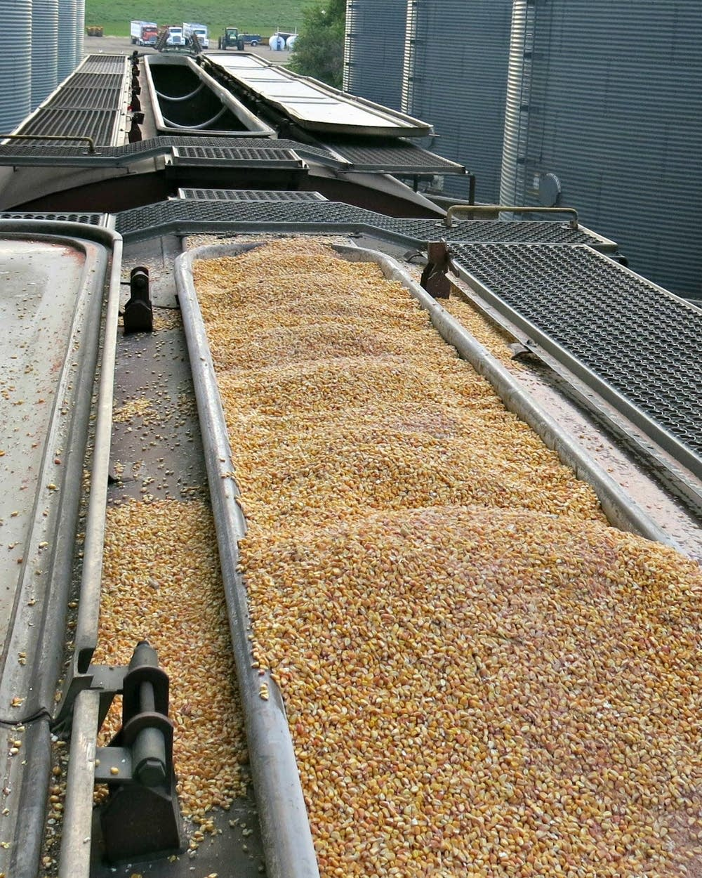 «Евротерминал» способствует развитию контейнерных перевозок зерновых по железной дороге - фото 2