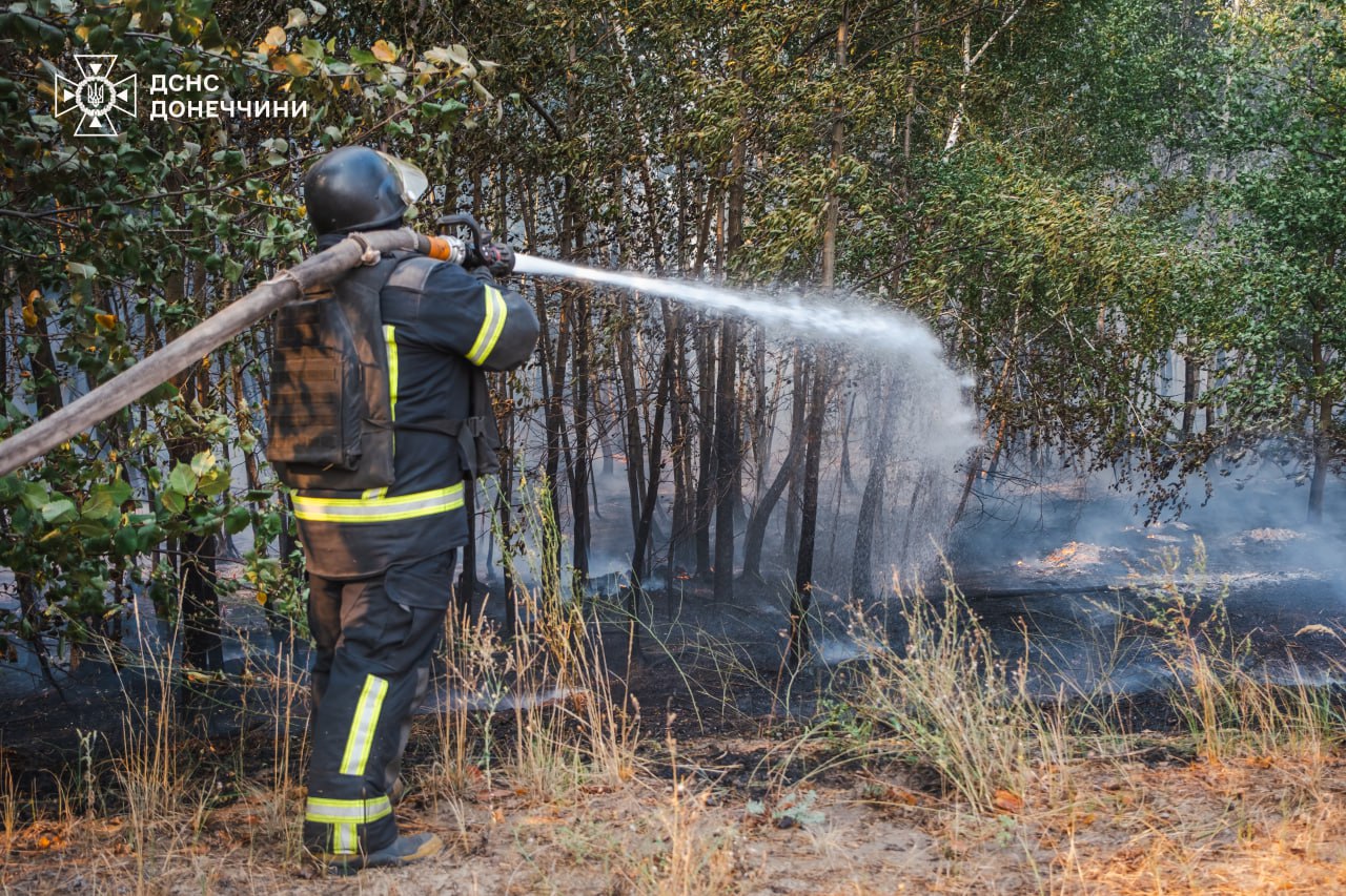 Донеччина у вогні: пожежа розповсюджується з нереальною швидкістю - фото 4