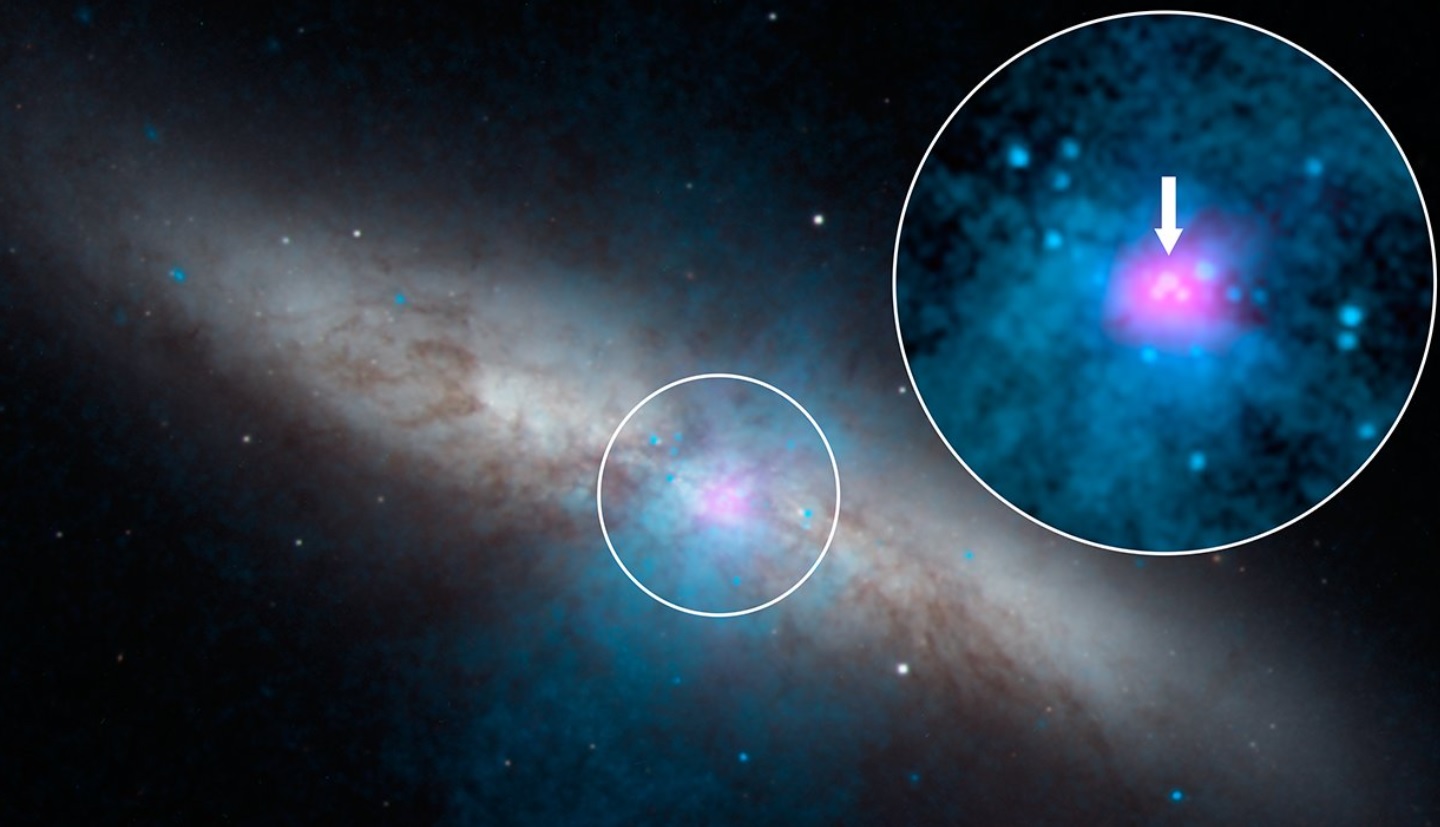 Телескоп NASA запечатлел очень яркий пульсар в космосе: как он выглядит (ФОТО) - фото 3