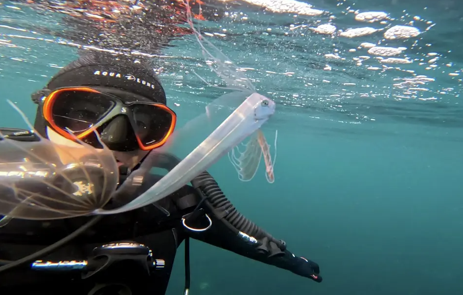 У берегов США заметили ”рыбу Судного дня”: считается, что она предвещает катастрофу (ФОТО) - фото 2