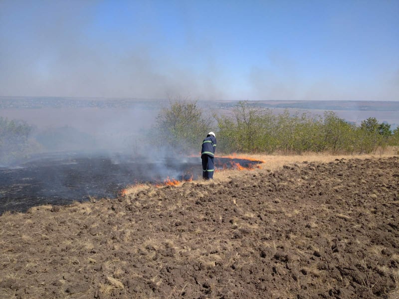 Під Миколаєвом горять десятки гектарів лісу - фото 2