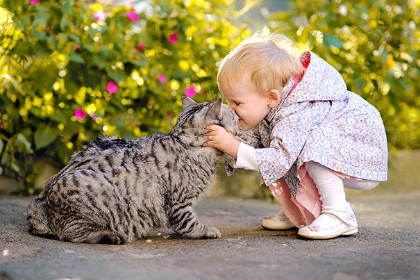 Двадцять фотографій, які доводять, що дитині потрібен кіт - їх чарівність і теплота зашкалює - фото 12