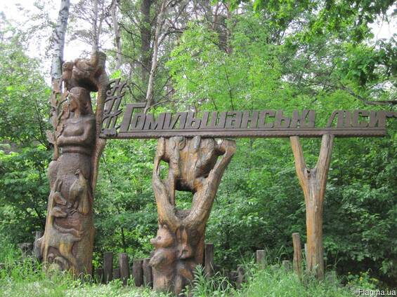 Еко-туризм в Україні: Топ 5 місць для відпочинку в гармонії з природою в Україні - фото 3