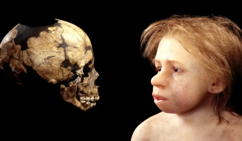 Рождались ”суперлюдьми”: ученые показали, как выглядел новорожденный неандерталец (ФОТО) - фото 2