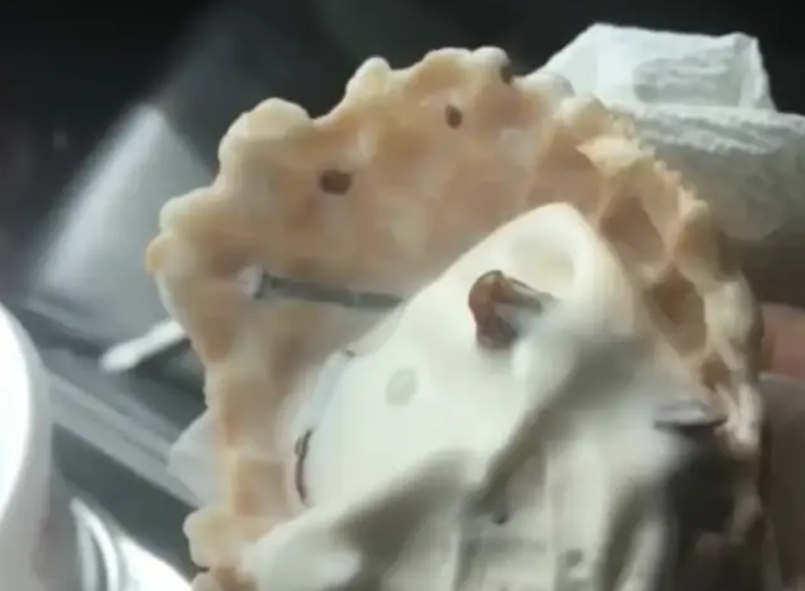 Женщина съела мороженое с неожиданным ингредиентом и потеряла возможность иметь детей - фото 2