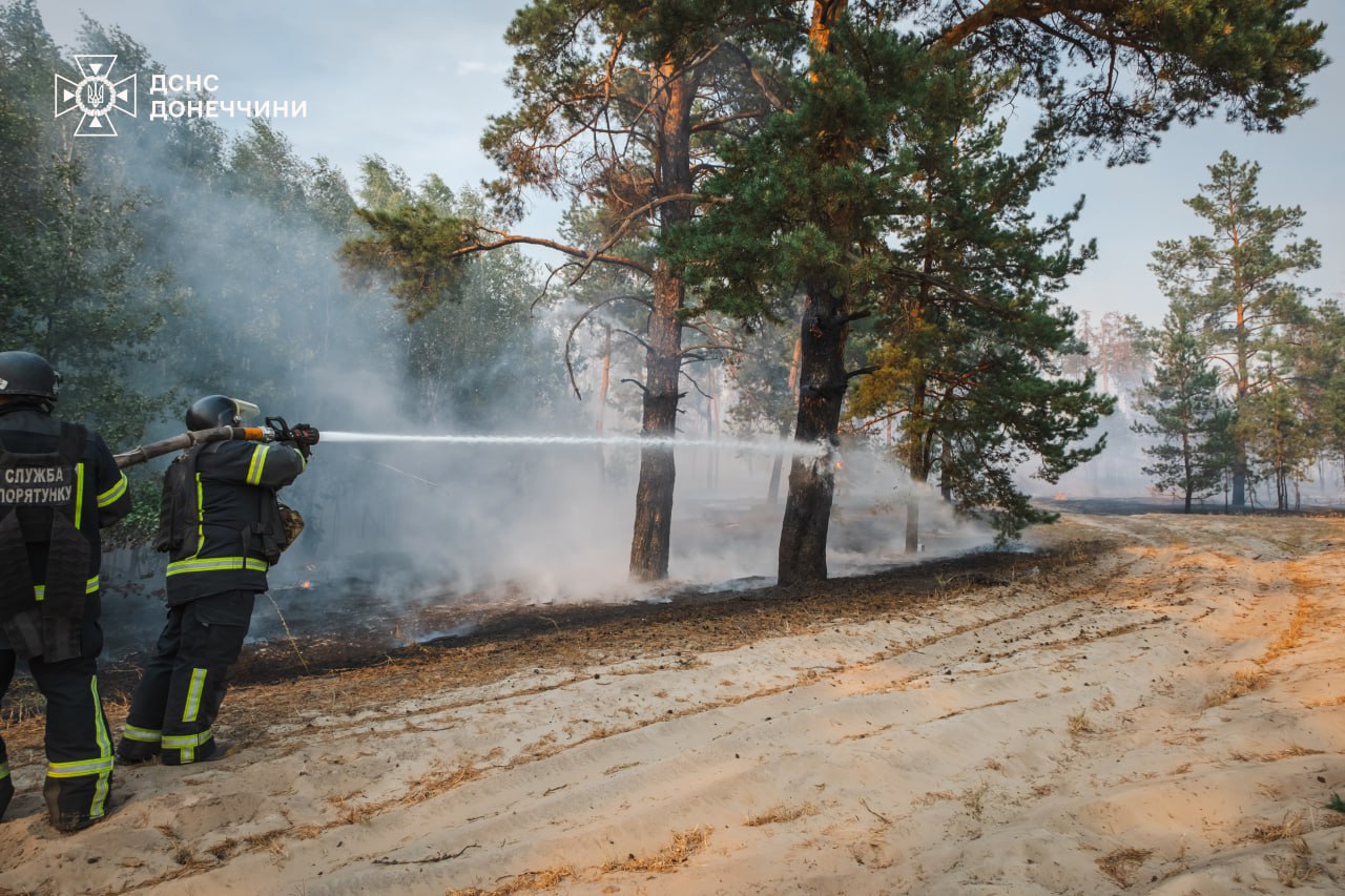 Понад 1000 гектарів лісу горить у двох областях: почалася евакуація - фото 2