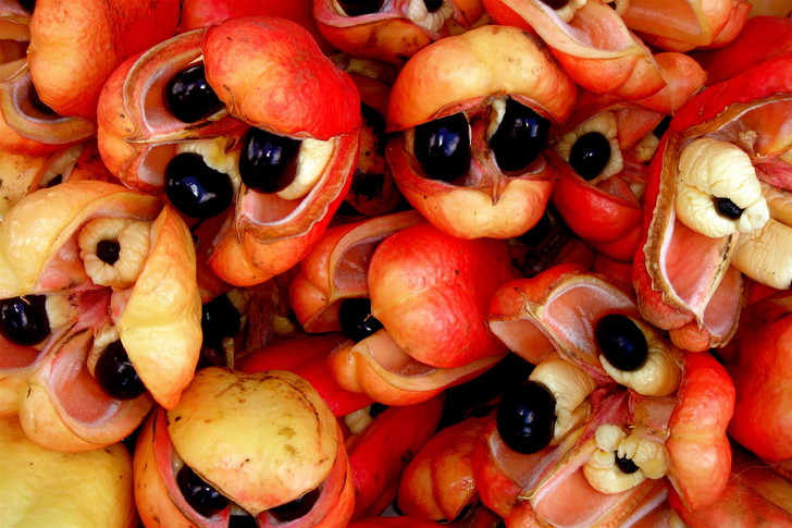 ТОП-5 самых опасных фруктов в мире - фото 5