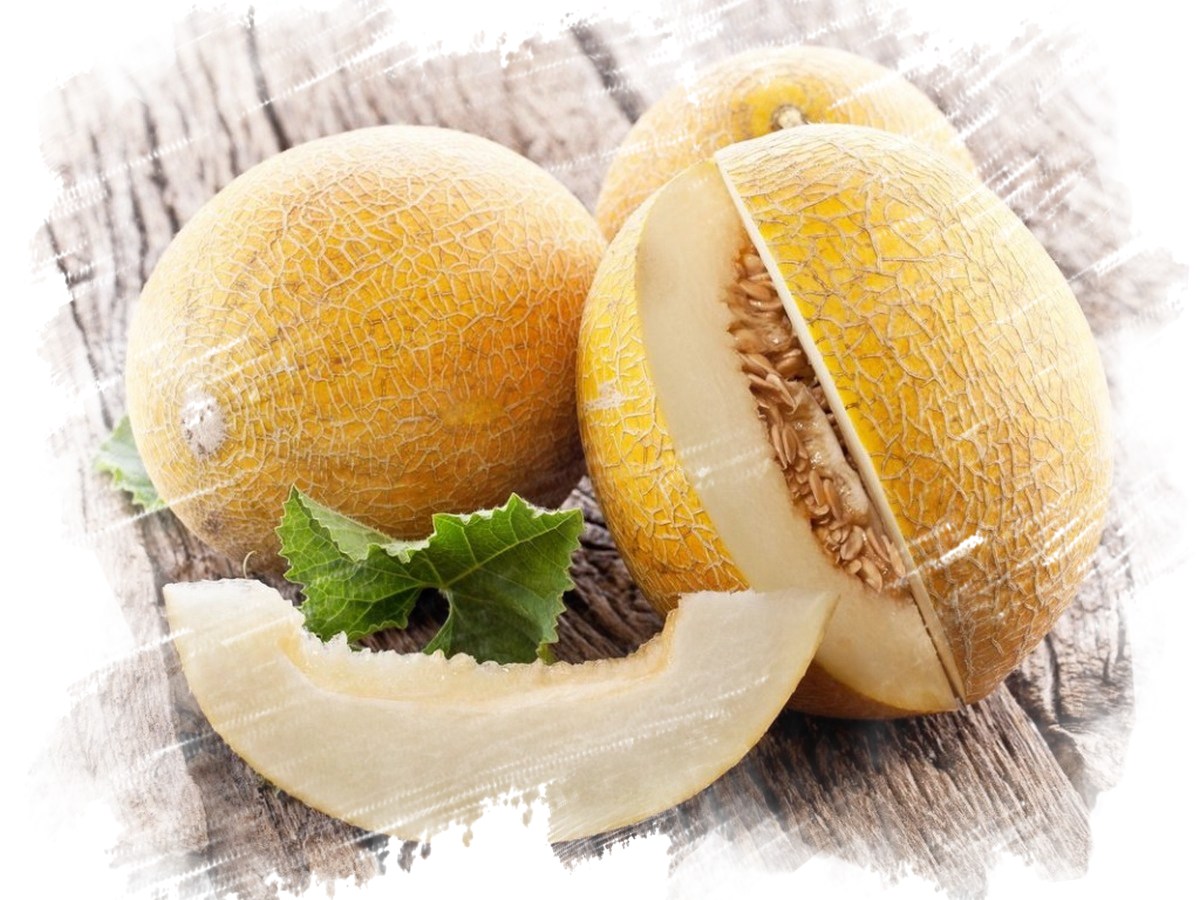 Канталупа фрукт. Канталупа мускусная дыня. Долька дыни. Канталупа мускусная дыня. Сорт дыни ананасная.