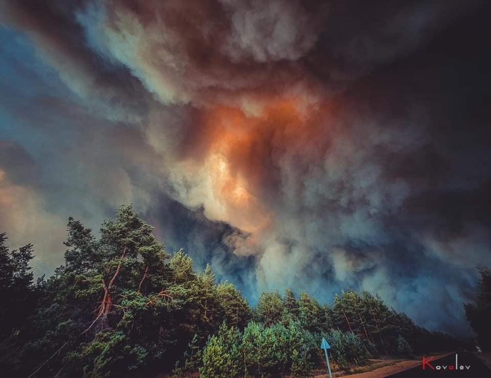 Пожары в Луганской области: устрашающие фото масштабного огня - фото 4