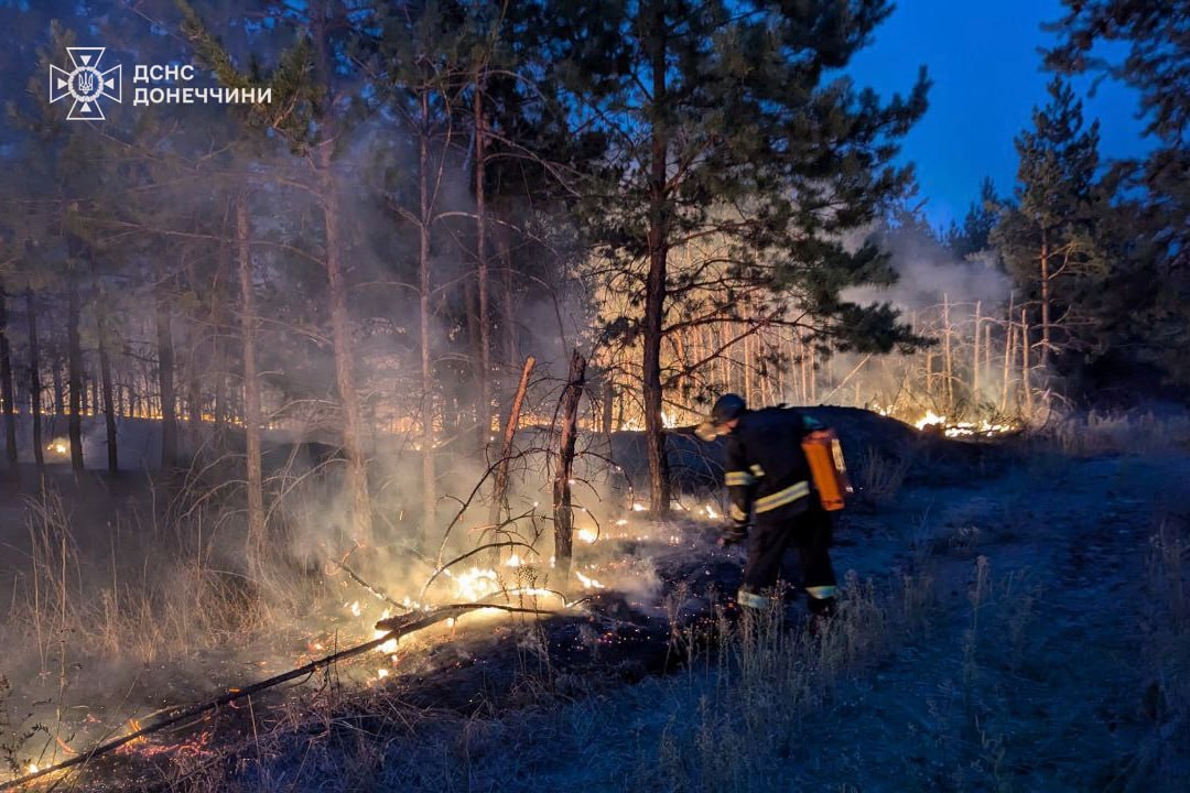 Горить понад 240 гектарів лісу: страшна пожежа накрила Донеччину (ВІДЕО) - фото 2