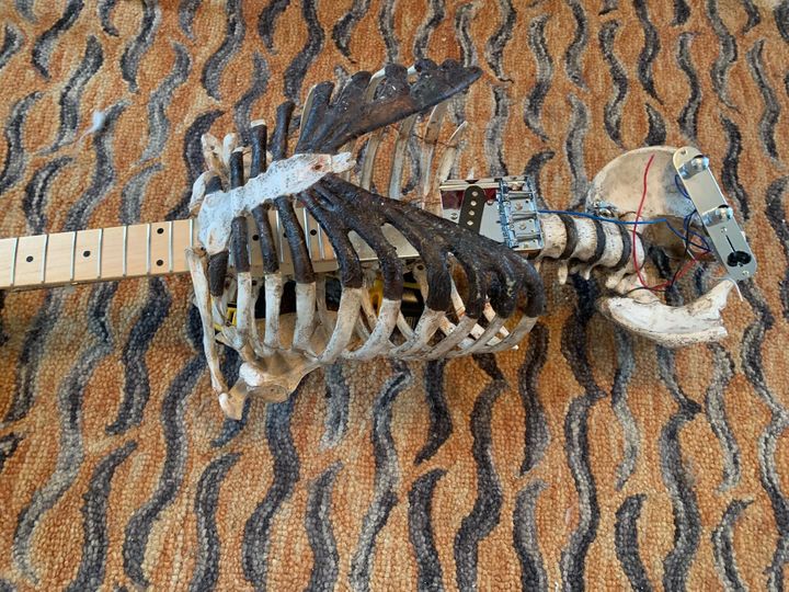 Авантюрист перевоплощается в скелета. Электрогитара из скелета. Электрогитара из костей. Гитара из костей. Гитара из скелета дяди.