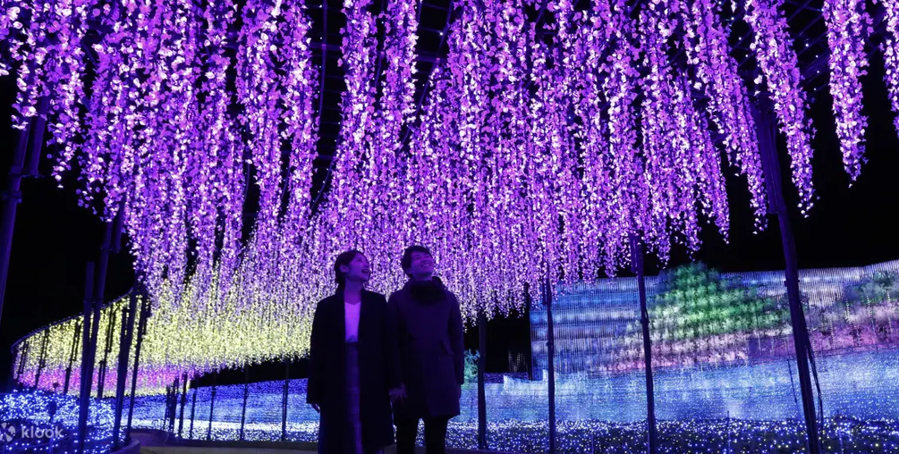 Это можно увидеть только в Японии: что такое фестиваль света Набана-но Сато (ФОТО) - фото 2
