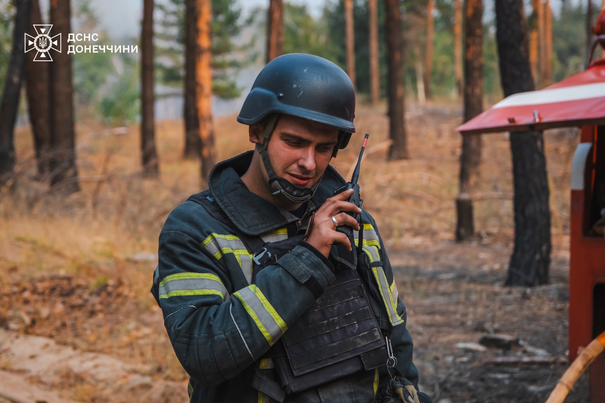 На Донеччині рятувальники 9 днів боролися з лісовою пожежею - фото 3