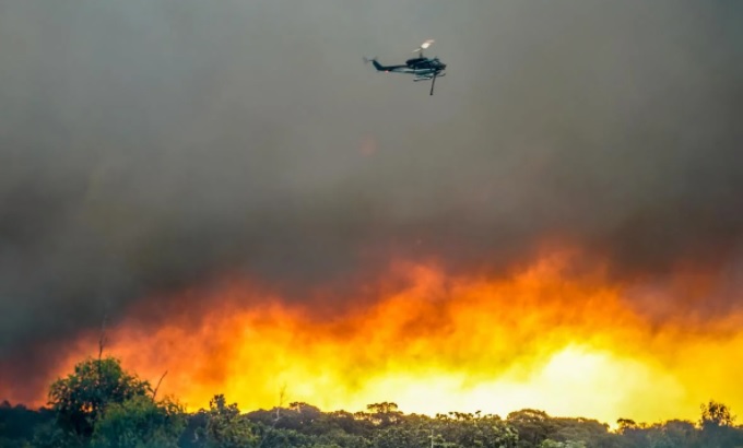 В Австралии разгорелся мощный лесной пожар: людей эвакуируют (ФОТО)  - фото 3