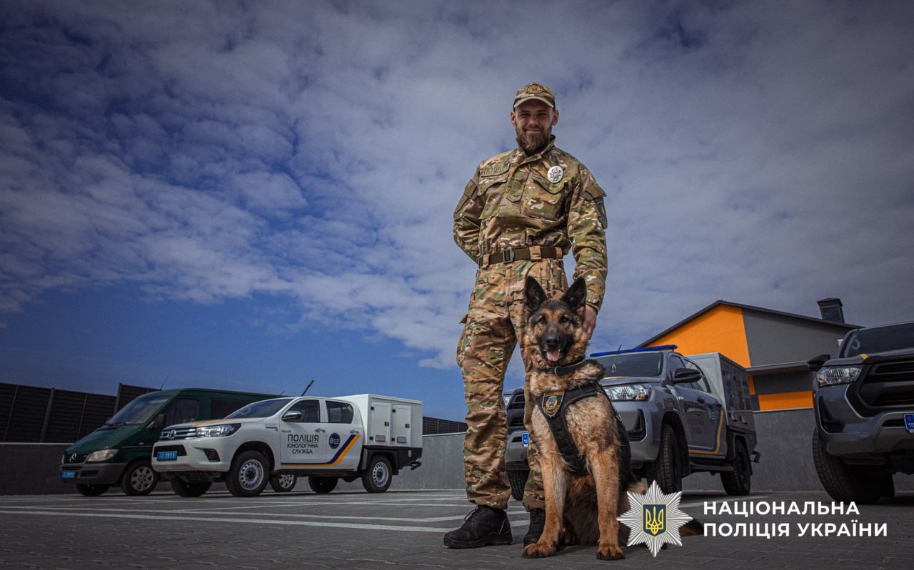 Пес Патрон не один: еще почти 900 четырехлапых ежедневно спасают жизнь украинцев - фото 2