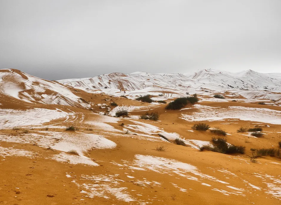 В пустыне Сахара выпал снег: редкие фото заснеженных песчаных дюн - фото 2