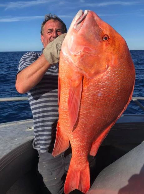 «Рыба мечты»: рыбак в Австралии вытащил гигантский улов (ФОТО) - фото 2