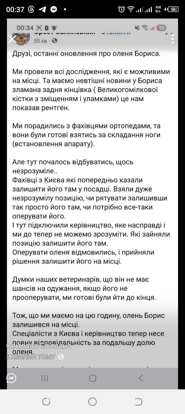 Обманули, операции не будет: Оленя Бориса оставили в посадке с тяжелым переломом - фото 2