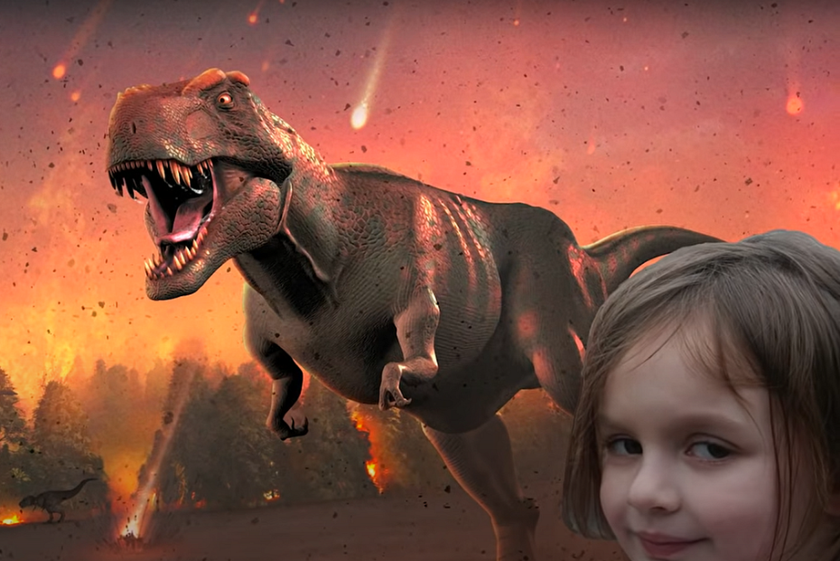 Прошло 20 лет: как сегодня выглядит ”девочка-катастрофа” из культового мема (ФОТО) - фото 2 Прошло 20 лет: как сегодня выглядит ”девочка-катастрофа” из культового мема (ФОТО) - фото 2